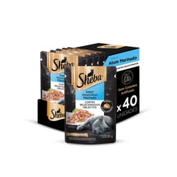 Ração Úmida Sheba Sabor Atum Marinado Para Gatos Adultos - Kit 40 Unidades