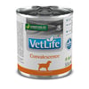 Ração Úmida Vet Life Convalescença Para Cães - 300G