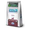 Ração Vet Life Hepatic Para Cães Adultos - 2Kg - 2 Kilos