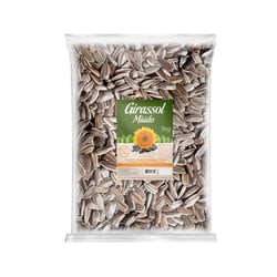 Ração Zootekna Girassol Miúdo Para Pássaros - 1 Kilo