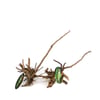 Raiz Ornamental Maxxi Raiz Pinho 30-40Cm - 1 Unidade