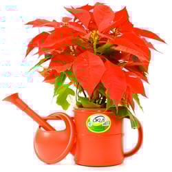 Regador Okla Vermelho 1,5 Litros - 1 Unidade