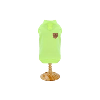 Regata Com Proteção Uv Bonito Pra Cachorro Verde Tamanho G Para Cães