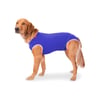 Roupa Cirúrgica Confortpet Azul Para Castração De Cães Macho - Tamanho 1
