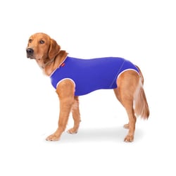 Roupa Cirúrgica Confortpet Castração Macho Azul Para Cachorros - Tamanho 6