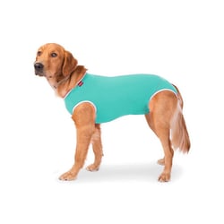 Roupa Cirúrgica Confortpet Castração Macho Verde Para Cães - 1 Unidade - Tamanho 0