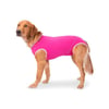 Roupa Cirúrgica Confortpet Regular Rosa Para Cães Macho E Fêmea - Saúde Pós-Cirúrgica - Tamanho 15