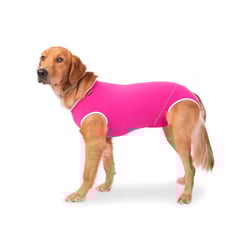 Roupa Cirúrgica Confortpet Regular Rosa Para Cães Macho E Fêmea - Tamanho 2