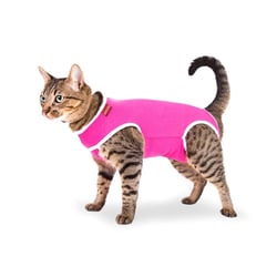 Roupa Cirurgica Confortpet Tradicional Rosa Para Gatos - Tamanho 0