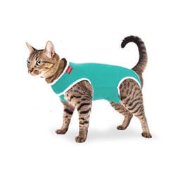 Roupa Cirurgica Confortpet Tradicional Verde Para Gatos - Tamanho 1