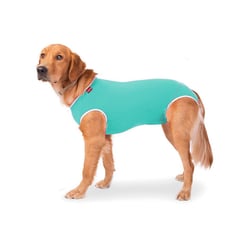 Roupa Cirúrgica Confortpet Verde Regular Para Cães Macho E Fêmea - Tamanho 3