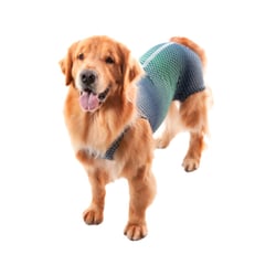 Roupa Cirúrgica Pet Med Ultra Light Azul E Verde Para Machos - Tamanho 4