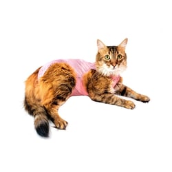 Roupa Cirúrgica Pet Med Ultra Light Ball Para Gatos Rosa - 1 Unidade - Tamanho PP