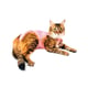Roupa Cirúrgica Pet Med Ultra Light Ball Para Gatos Rosa - 1 Unidade - Tamanho PP - Tamanho PP