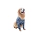 Roupa Pet Med Membros Anteriores E Peito Dry Light Sureme Tamanho 12 Para Cachorros - Cor Cinza - Tamanho 12
