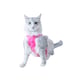 Roupa Pet Med Regata Dry Light Sureme Para Gatos - Cor Rosa - Tamanho 00 - Tamanho 00