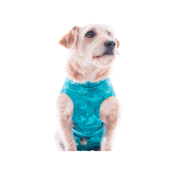 Roupa Pós-Cirúrgica Dry Ligth Supreme Pet Med Para Cães Machos Verde Nº 00 - 1 Unidade - Tamanho 00