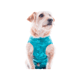 Roupa Pós-Cirúrgica Dry Ligth Supreme Pet Med Para Cães Machos Verde Nº 00 - 1 Unidade - Tamanho 00 - Tamanho 00