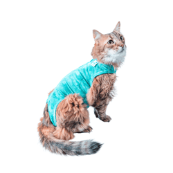 Roupa Pós-Cirúrgica Para Gatos Pet Med Dry Light Supreme Verde Nº 00 - 1 Unidade - Tamanho 00