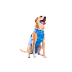 Roupa Pós-Cirúrgica Pet Med Dry Ligth Supreme Azul Nº 00 Para Cães Machos - 1 Unidade - Tamanho 2