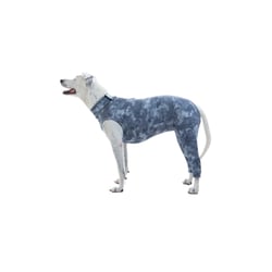 Roupa Pós-Cirúrgica Sureme Dry Light Para Cães - Tamanho 12 - Cor Cinza