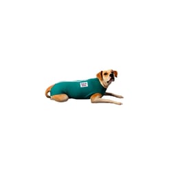 Roupa Pós Cirúrgica Tudo De Bicho Verde N 00 - 1 Unidade