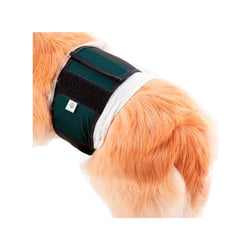 Roupa Protetora Pet Med Para Fraldas De Cães Machos - Verde - 1 Unidade - Tamanho 0