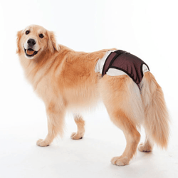 Roupa Protetora Petmed Higiênica Para Fraldas E Cio Rosa - Para Cachorros - Tamanho 3