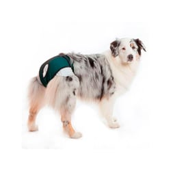 Roupa Protetora Petmed Higiênica Verde Para Fraldas E Cio - 1 Unidade - Tamanho 0