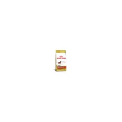 Royal Canin Dachshund Filhotes - 2,5Kg Pacote