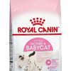 Royal Canin Mother & Baby Cat Ração 1,5Kg - 1,5 Kilos