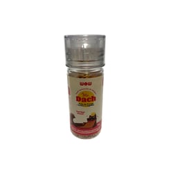 Saborizante Para Ração De Gatos Wow Pet Food Mr.Dach Sabor Peito De Frango, Frutas E Vegetais - 30G