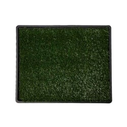 Sanitário American Pets Pet Park Luxo Para Cães - 1 Unidade