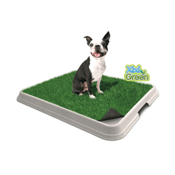 Sanitário De Grama Pet Injet Xixi Green Premium Para Cães