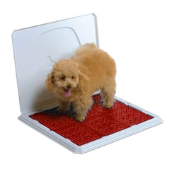 Sanitário Higiênico Pipi Place Macho Vermelho - Animalíssimo