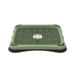 Sanitário Higiênico Plast Pet Pipi Tapete Eco Verde Oliva Para Cães - 1 Unidade