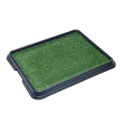 Sanitário Higiênico Xixi Green Black Para Cães - 1 Unidade