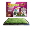 Sanitário Pet Green Furacão Pet Para Cães - 1 Unidade