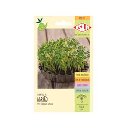 Semente Agrião Ravi Isla 5G Para Jardim