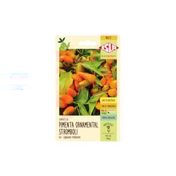 Semente De Pimenta Stroboli Ornamental Isla - 1 Unidade