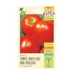 Semente De Tomate Santa Cruz Isla - 1 Pacote