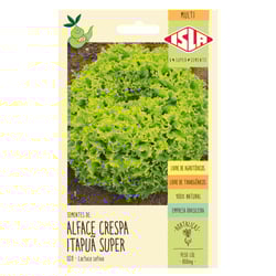 Semente Isla Multi Alface Itapuã Super Único - 1 Unidade