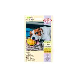 Semente Isla Multi Pet Abóbora Mini Jack - 800Mg