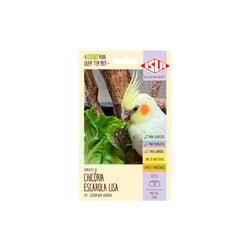 Semente Isla Multi Pet Chicória Escarola Lisa - 2,40G