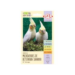 Semente Isla Multi Pet Microverdes De Beterraba Shankar - 3G