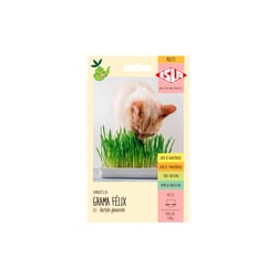 Semente Multi Grama Félix Isla Para Jardins