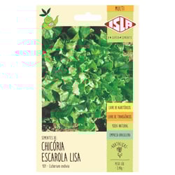 Semente Multi Isla Chicória Escarola Lisa - 1 Unidade
