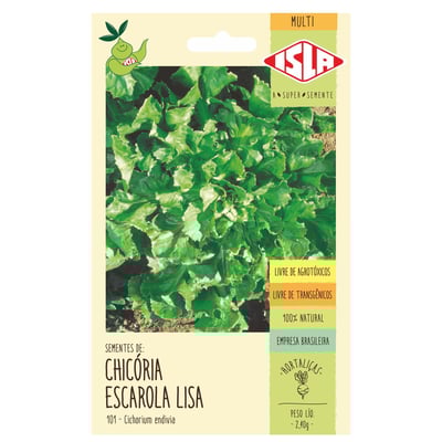 Semente Multi Isla Chicória Escarola Lisa - 1 Unidade