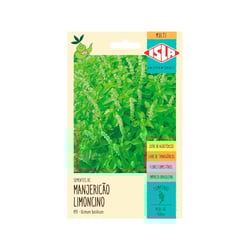 Semente Multi Manjericão Limoncino Isla 150Mg Para Jardins