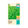 Semente Multi Manjericão Limoncino Isla 150Mg Para Jardins